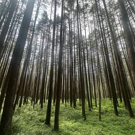 Deodar Village Homestay Devalsari Mussoorie Exteriér fotografie