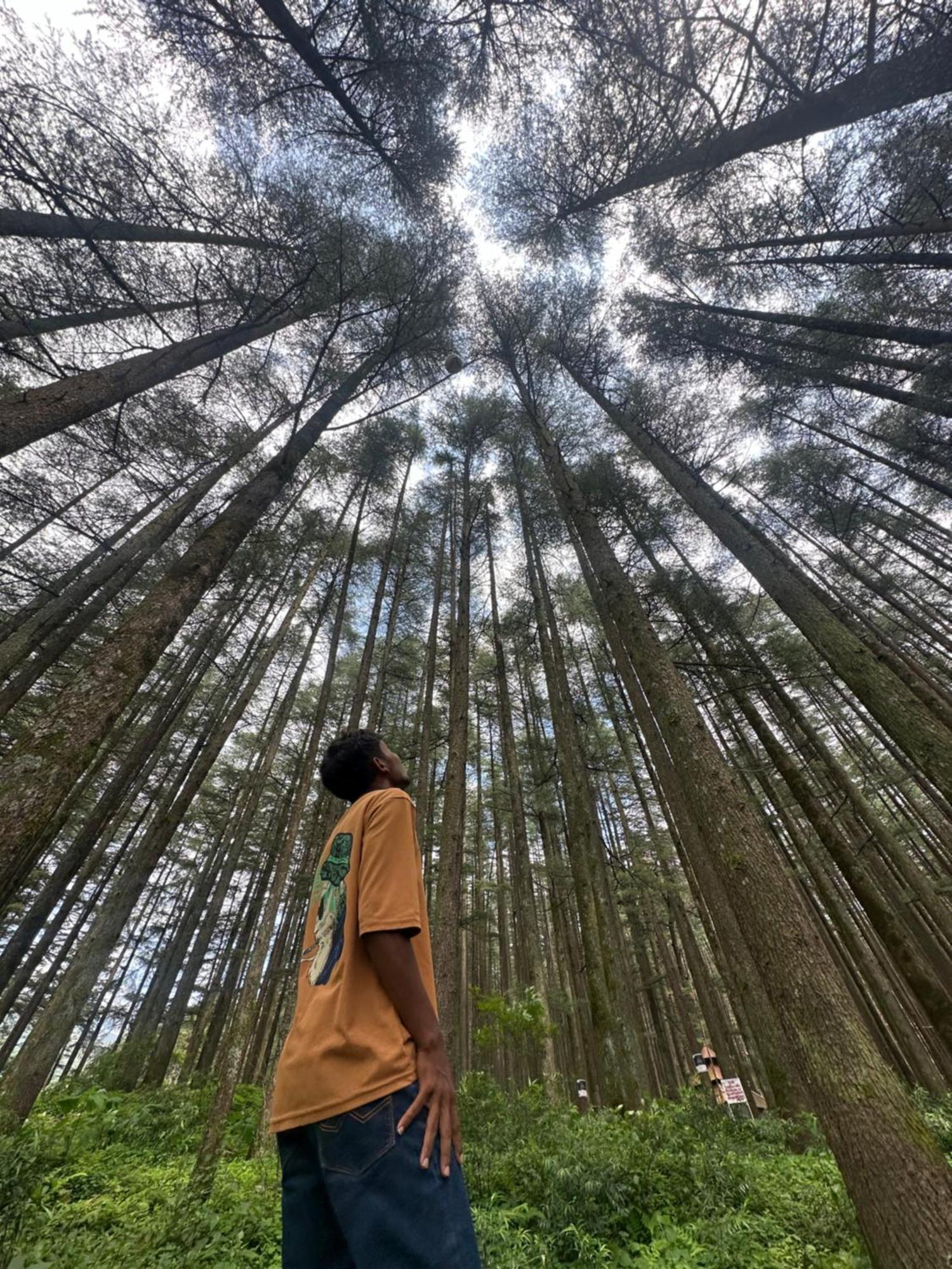 Deodar Village Homestay Devalsari Mussoorie Exteriér fotografie