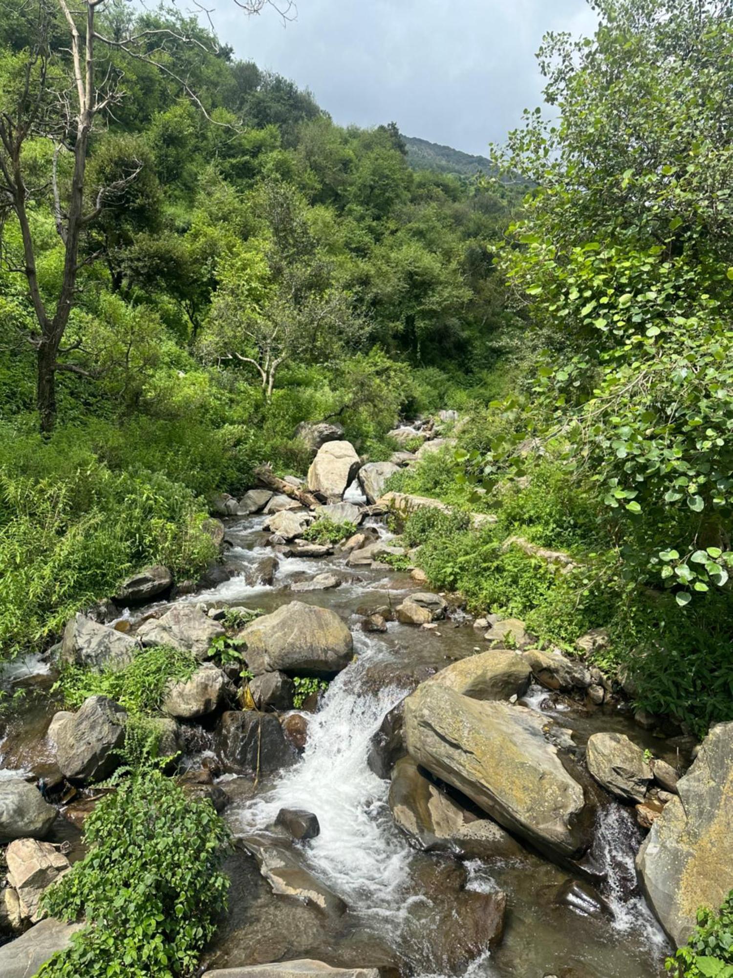 Deodar Village Homestay Devalsari Mussoorie Exteriér fotografie