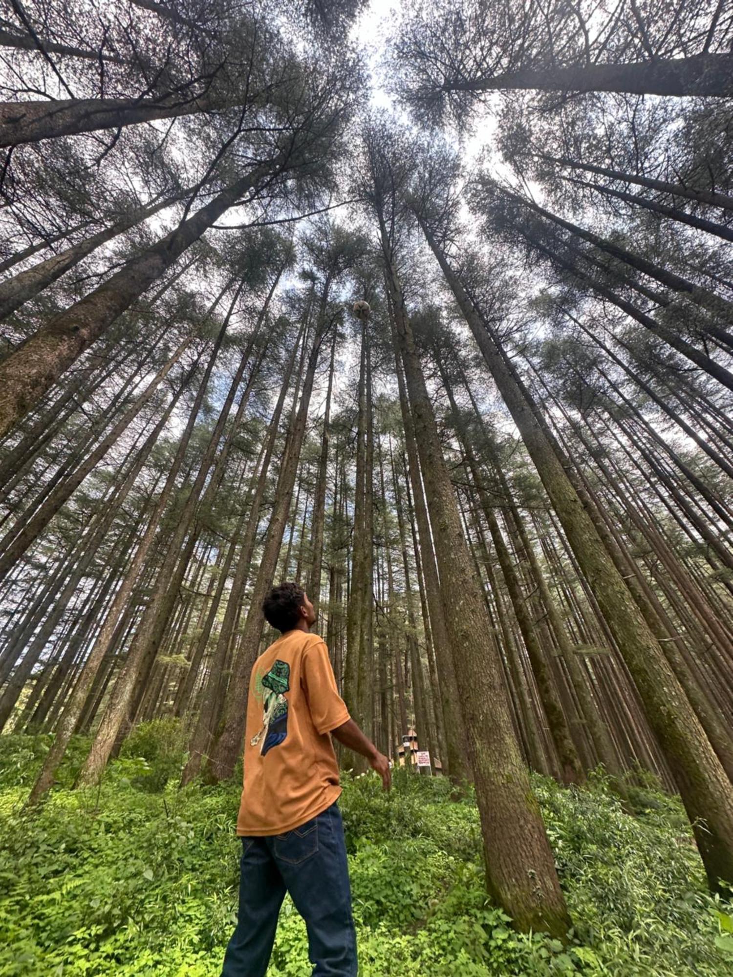 Deodar Village Homestay Devalsari Mussoorie Exteriér fotografie