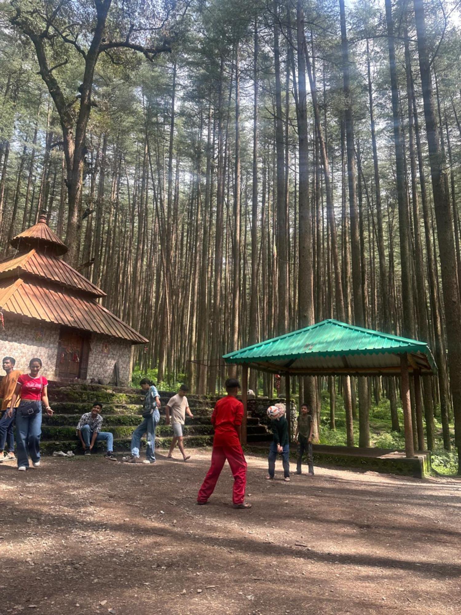 Deodar Village Homestay Devalsari Mussoorie Exteriér fotografie