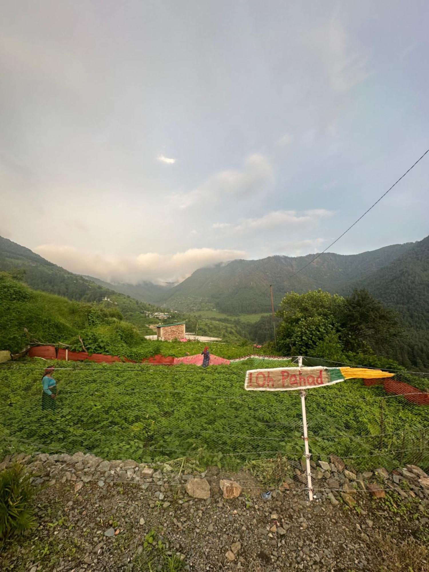 Deodar Village Homestay Devalsari Mussoorie Exteriér fotografie